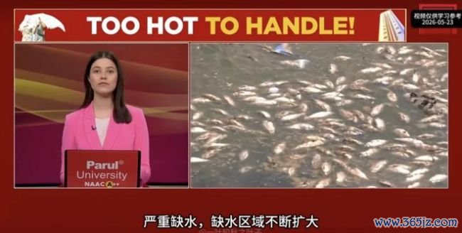 大V：印度电力被48度高温击穿 制造业好意思梦破灭