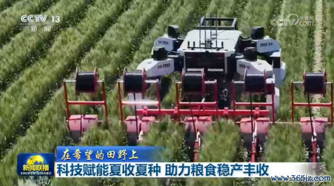 科技赋能夏收夏种 助力食粮稳产丰充 奢睿农机显本领