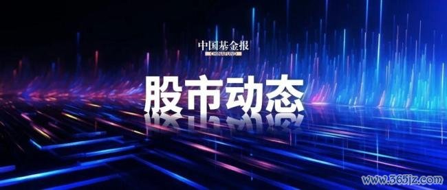 CPO见地股全线拉升