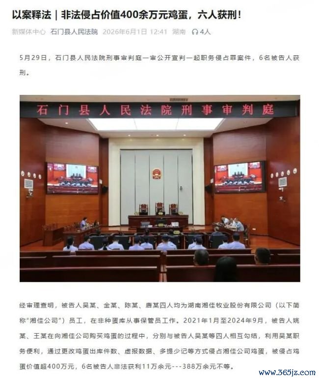 上市公司价值400万鸡蛋去哪了？