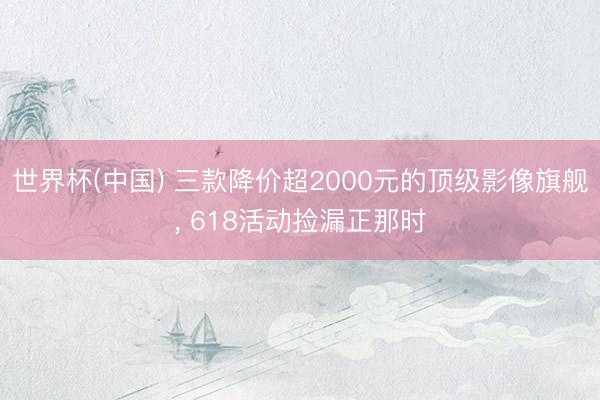 世界杯(中国) 三款降价超2000元的顶级影像旗舰， 618活动捡漏正那时