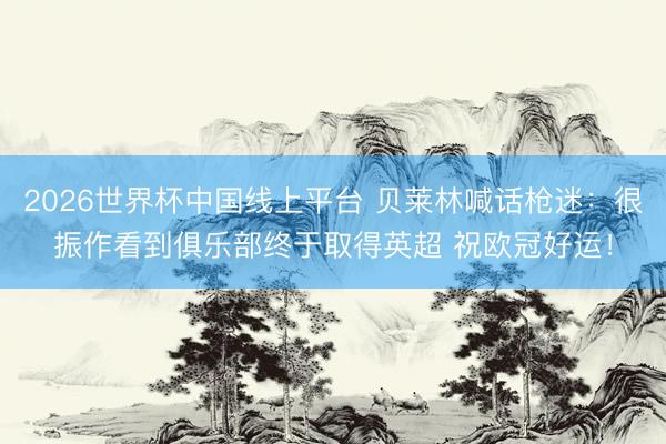 2026世界杯中国线上平台 贝莱林喊话枪迷：很振作看到俱乐部终于取得英超 祝欧冠好运！