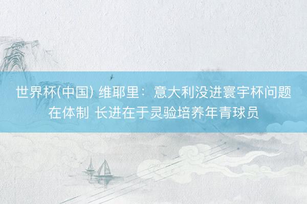 世界杯(中国) 维耶里：意大利没进寰宇杯问题在体制 长进在于灵验培养年青球员