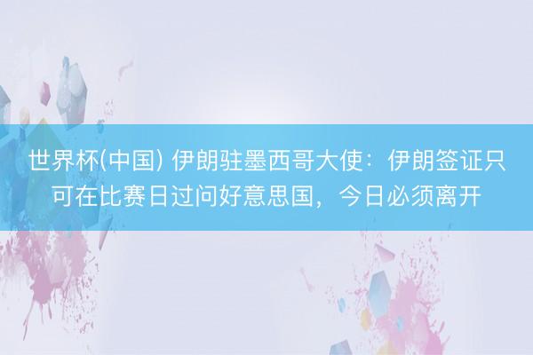 世界杯(中国) 伊朗驻墨西哥大使:伊朗签证只可在比赛日过问好意思国,今日必须离开