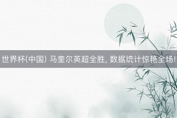 世界杯(中国) 马奎尔英超全胜， 数据统计惊艳全场!