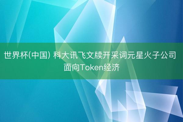 世界杯(中国) 科大讯飞文牍开采词元星火子公司 面向Token经济