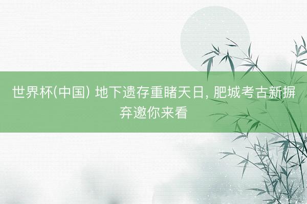 世界杯(中国) 地下遗存重睹天日， 肥城考古新摒弃邀你来看