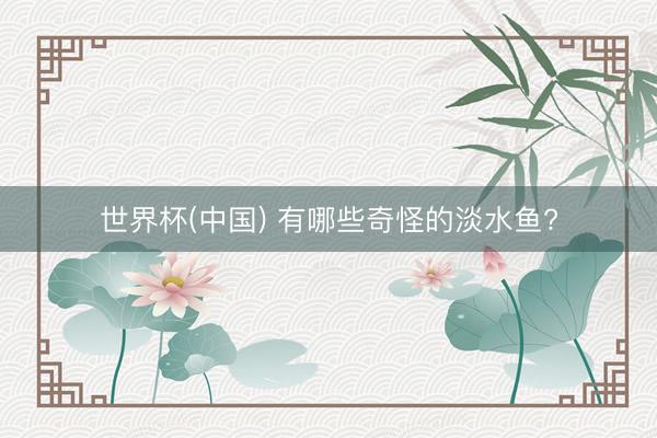 世界杯(中国) 有哪些奇怪的淡水鱼?