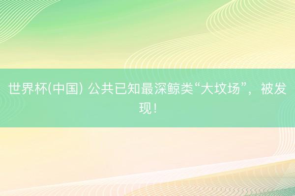 世界杯(中国) 公共已知最深鲸类“大坟场”，被发现！
