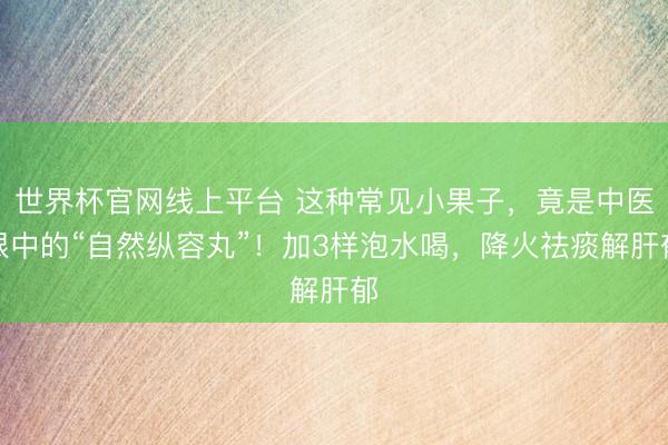 世界杯官网线上平台 这种常见小果子，竟是中医眼中的“自然纵容丸”！加3样泡水喝，降火祛痰解肝郁
