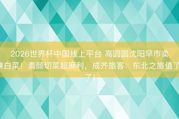 2026世界杯中国线上平台 高圆圆沈阳早市卖辣白菜！素颜切菜超麻利，成齐旅客：东北之旅值了！