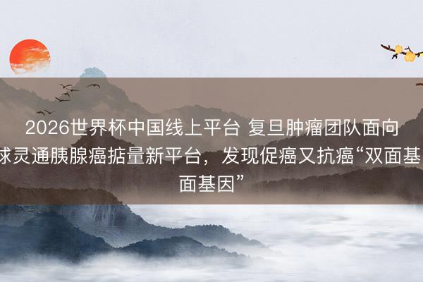 2026世界杯中国线上平台 复旦肿瘤团队面向全球灵通胰腺癌掂量新平台，发现促癌又抗癌“双面基因”