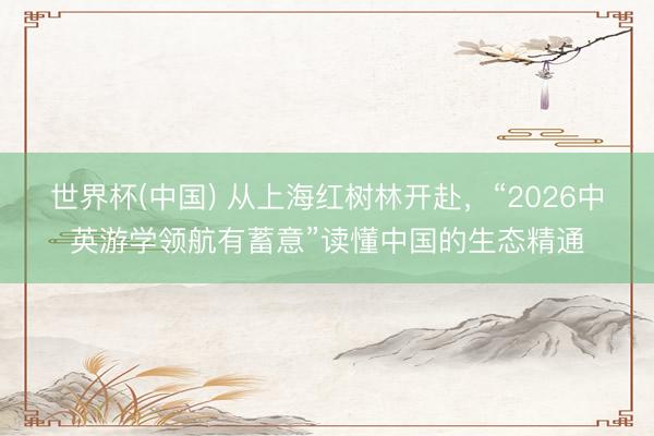 世界杯(中国) 从上海红树林开赴，“2026中英游学领航有蓄意”读懂中国的生态精通