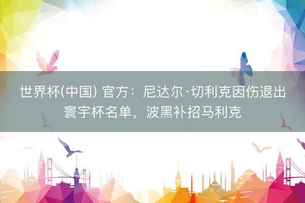 世界杯(中国) 官方：尼达尔·切利克因伤退出寰宇杯名单，波黑补招马利克
