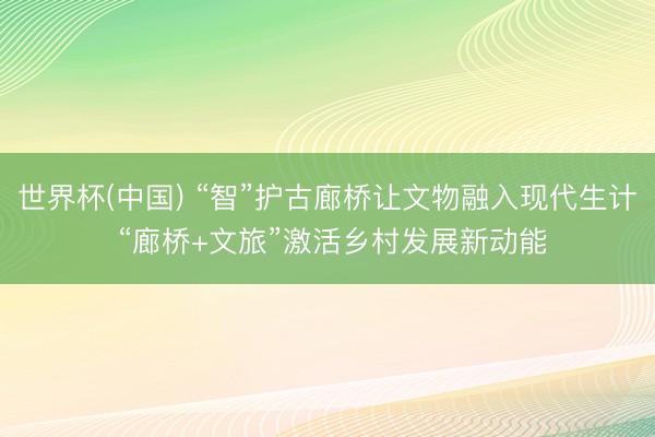 世界杯(中国) “智”护古廊桥让文物融入现代生计 “廊桥+文旅”激活乡村发展新动能