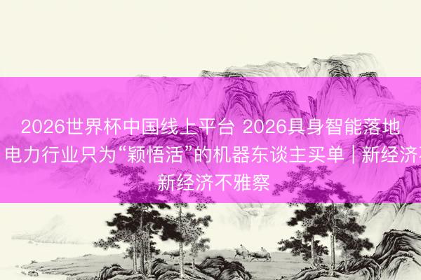 2026世界杯中国线上平台 2026具身智能落地元年，电力行业只为“颖悟活”的机器东谈主买单 | 新经济不雅察