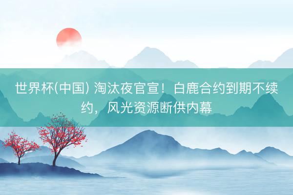 世界杯(中国) 淘汰夜官宣！白鹿合约到期不续约，风光资源断供内幕