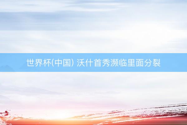 世界杯(中国) 沃什首秀濒临里面分裂