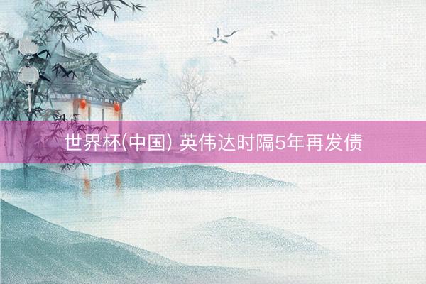 世界杯(中国) 英伟达时隔5年再发债