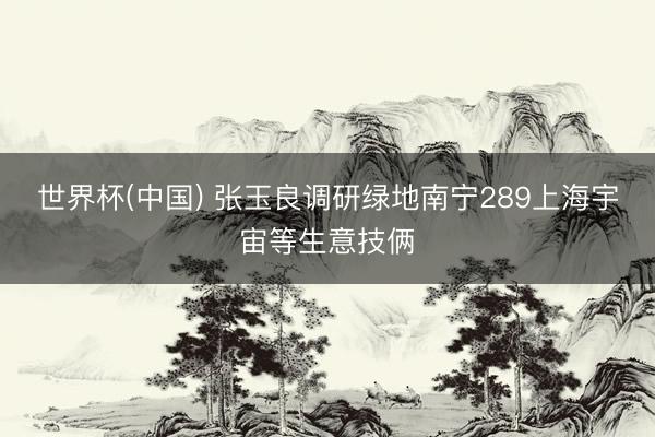 世界杯(中国) 张玉良调研绿地南宁289上海宇宙等生意技俩