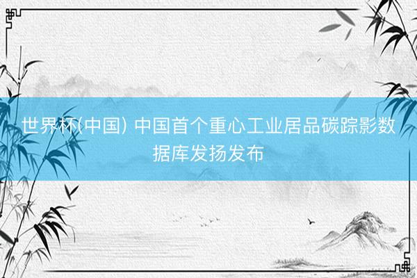 世界杯(中国) 中国首个重心工业居品碳踪影数据库发扬发布