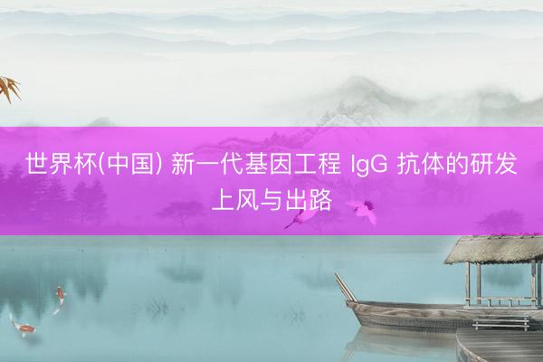 世界杯(中国) 新一代基因工程 IgG 抗体的研发上风与出路