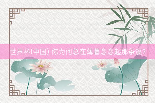世界杯(中国) 你为何总在薄暮念念起那条溪?