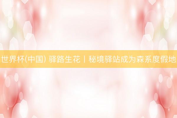 世界杯(中国) 驿路生花丨秘境驿站成为森系度假地